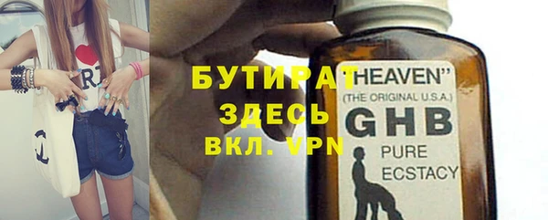 сатива Новозыбков