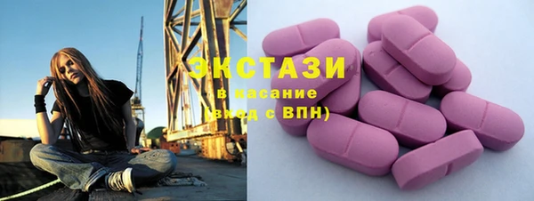 сатива Новозыбков
