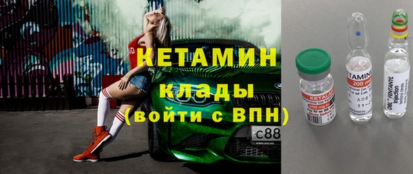 сатива Новозыбков