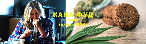 сатива Новозыбков