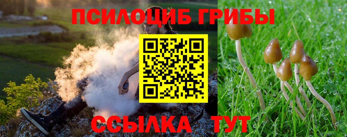 Белебей  Галлюциногенные грибы MAGIC MUSHROOMS  Вход с VPN 