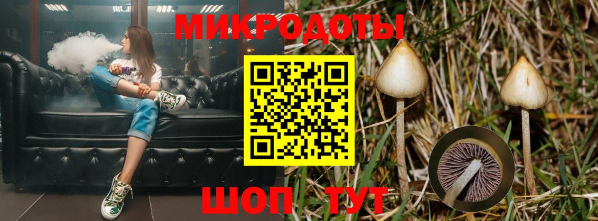 Псилоцибиновые грибы ЛСД Белебей